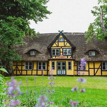 Herrenhaus Gut Dorotheenthal Damp Zewnętrze zdjęcie